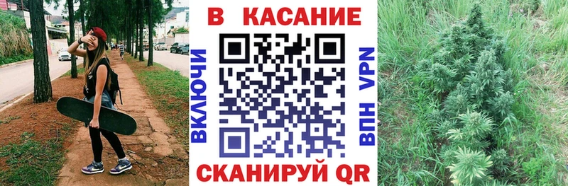  COCAIN Касли